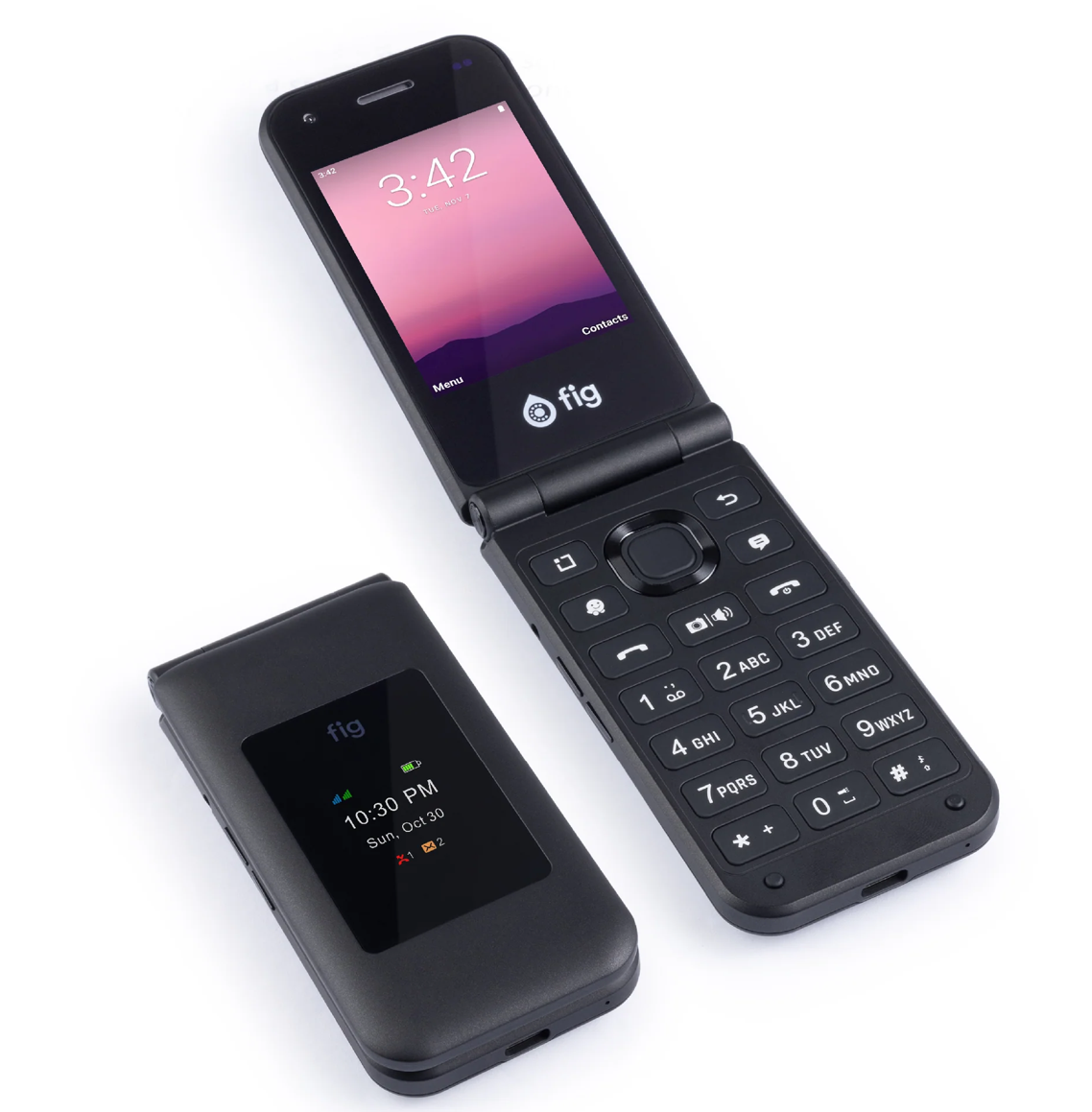 Fig Mini