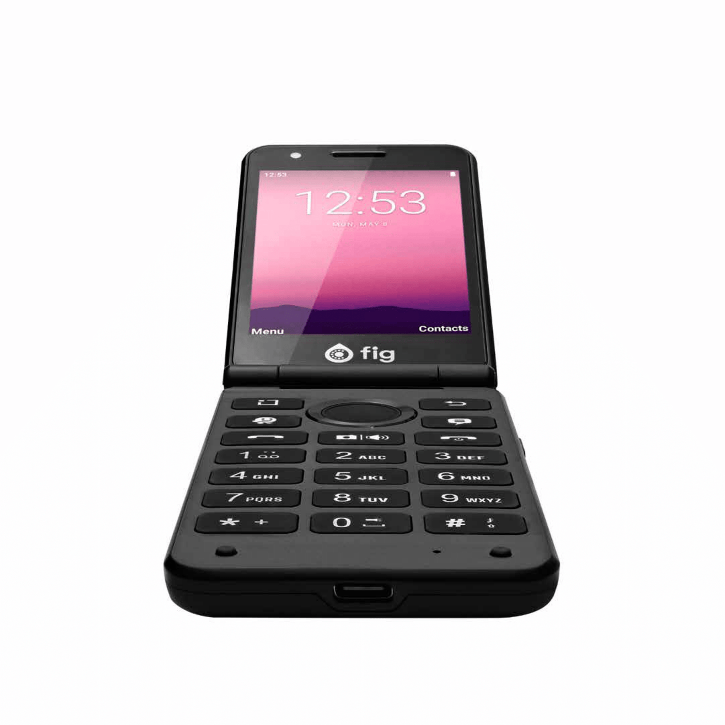 Fig Mini