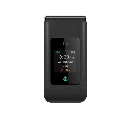 Fig Mini